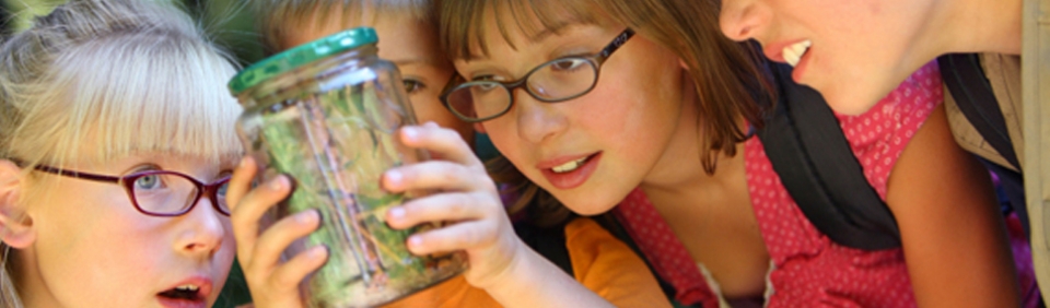 Детските лагери - на море и планина